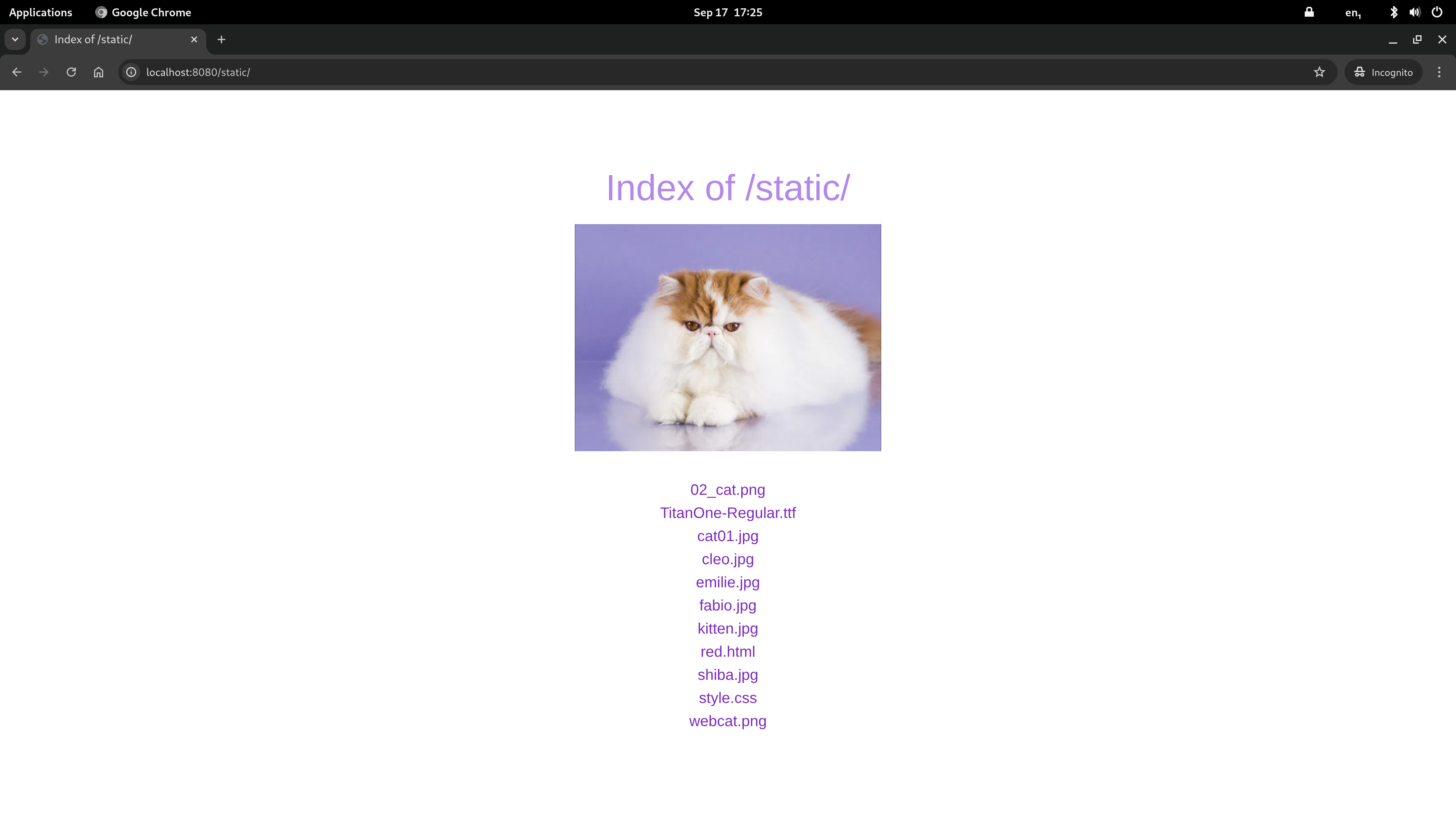 Screenshot 04
